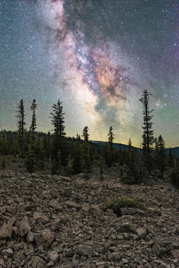 Untitled Untitled